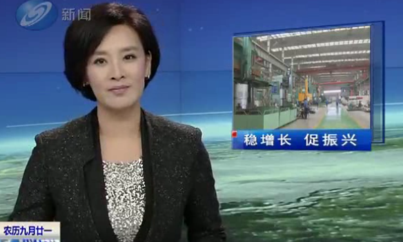 穩(wěn)增長 促振興《沈陽新聞》 2013/11/30