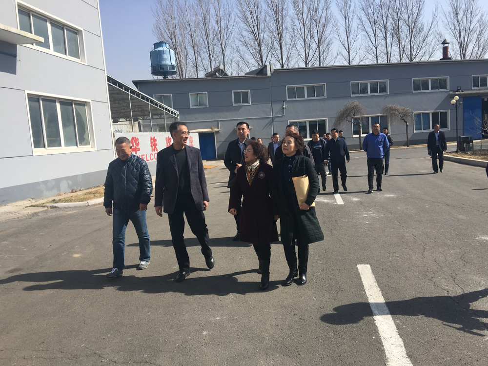 Zhang Jinghui, Vice Chairman of the CPPCC, and his party visited our company for